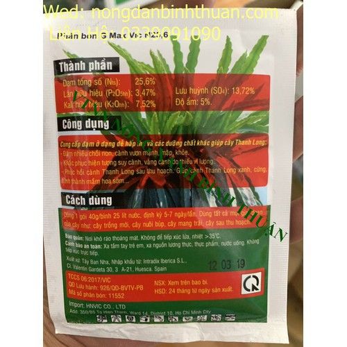  Kích chồi thanh long, siêu đâm cành thanh long - siêu đâm cành 