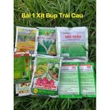  Bài Thuốc Xịt Búp Thanh Long giúp búp to và mập, Bài 1 Xịt Búp Trái Cau - bài số 1 xịt búp trái cau 