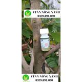  Kích mầm T90 15ml, chiết xuất mầm gạo, giàu Auxin, bật mầm tua tủa, hoa hồng, lan, cây cảnh, hiệu quả sau 5 ngày 