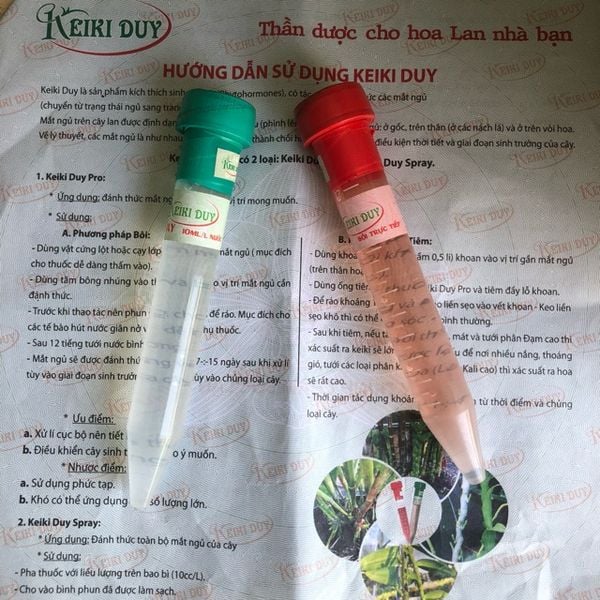  Combo keo liền da cây keiki đỏ, xanh 