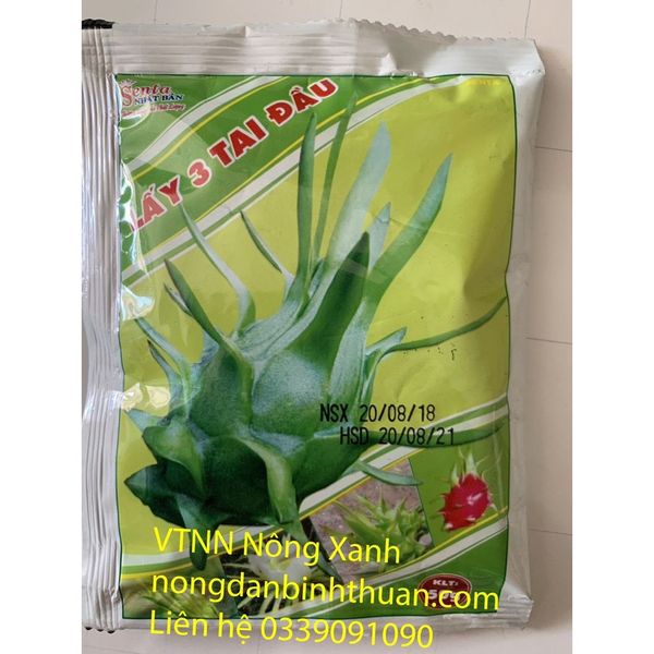  Lấy Ba Tai Đầu Trái Thanh long 