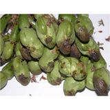  Đặc trị Thán thư Nho, xoài, điều, thanh long, ca cao NATIVO 750WG 4 GÓI - 4 GÓI NATIVO 