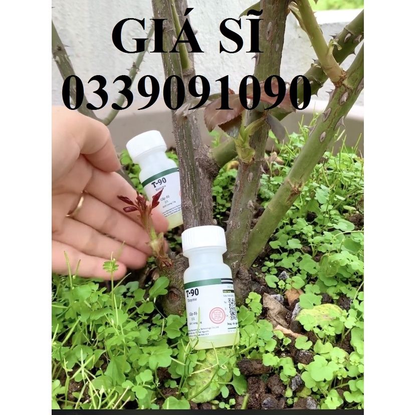  T 90 [CHÍNH HÃNG](15ml) Kích mầm T90 Bôi Đâu Lên Mầm Ở Đó 