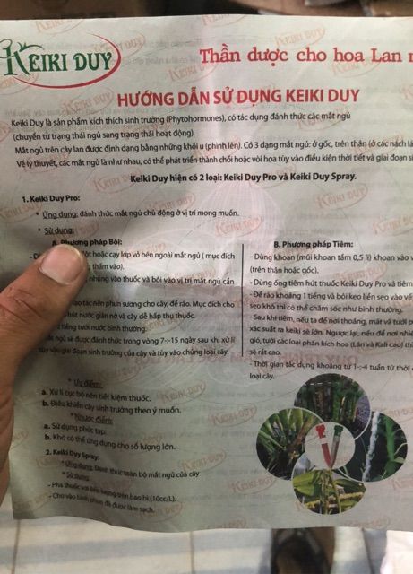  Kích Ki Duy pro (Keiki duy đỏ) và keo liền da 