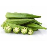  Hạt Giống Đậu Bắp Xanh - Nảy Mầm Cực Chuẩn 