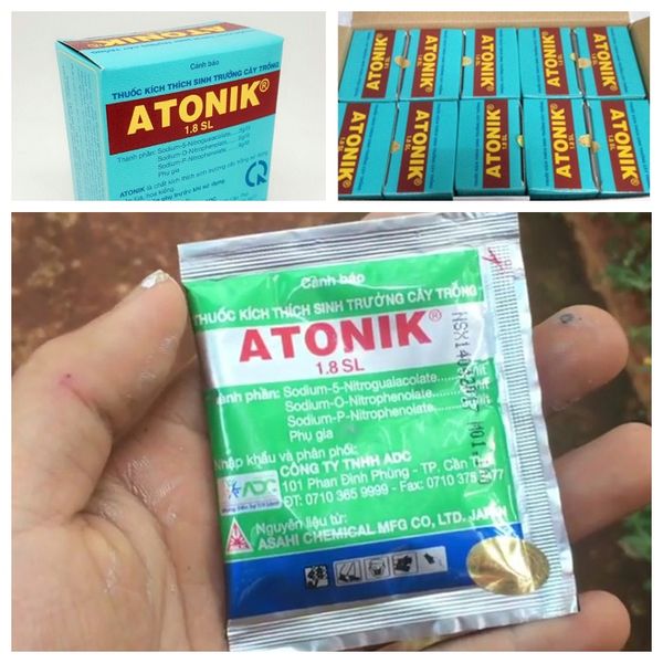  phân bón lá Atonik-Thương hiệu đến từ Nhật Bản [Chính hãng] 