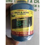  Vitamin B1 235ml - B1 235ML 