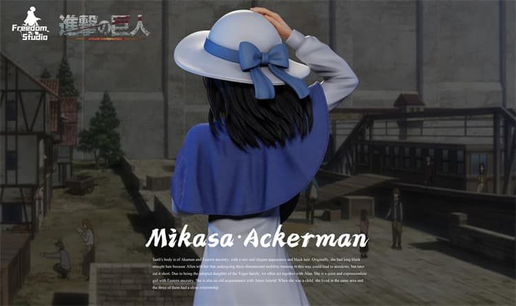  Mikasa  - Attack on Titan 