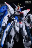  Freedom Gundam - Schildwache Studio 