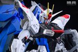  Freedom Gundam - Schildwache Studio 