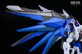  Freedom Gundam - Schildwache Studio 