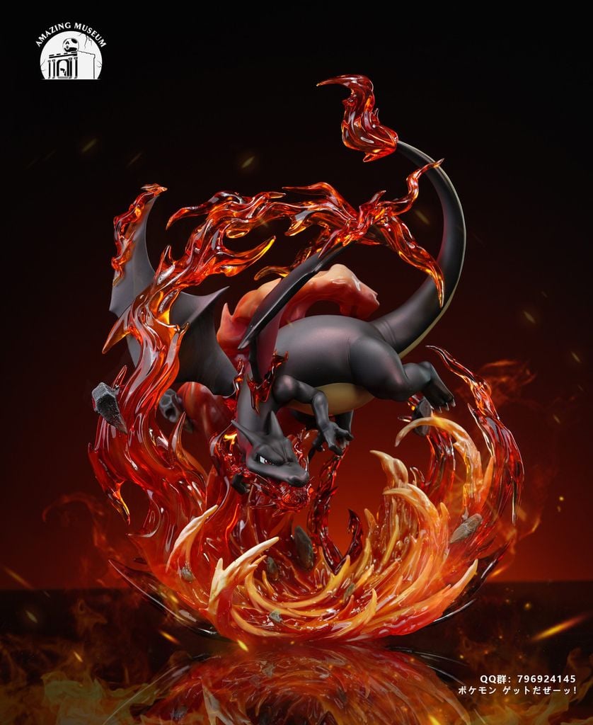  Charizard - Pokemon - AM Studio 