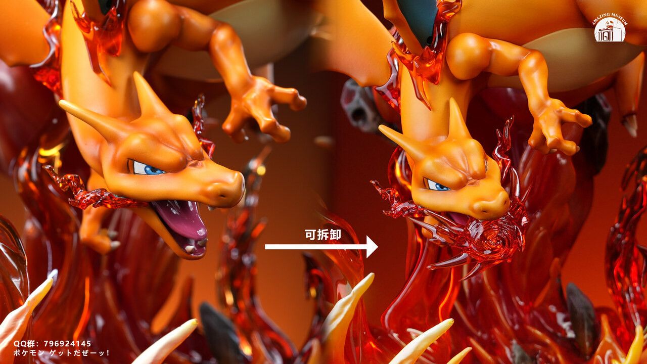  Charizard - Pokemon - AM Studio 