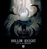  The Knight - Hollow Knight - Stone Custom Studio 