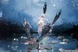 Cinderella - Goddess of Victory: Nikke - Hobby sakura 