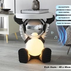 [Order] Đồ decor trang trí phòng ngủ, phòng khách - tượng khay phi hành gia