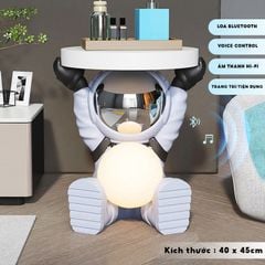 [Order] Đồ decor trang trí phòng ngủ, phòng khách - tượng khay phi hành gia