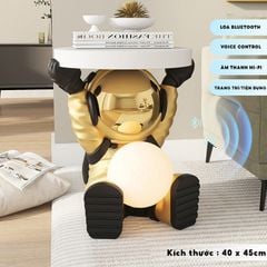 [Order] Đồ decor trang trí phòng ngủ, phòng khách - tượng khay phi hành gia