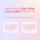  Nước uống bổ sung Collagen cho da ALFE DEEP ESSENCE trẻ hóa và cấp ẩm cho da 