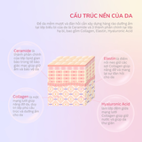  Nước uống bổ sung Collagen cho da ALFE DEEP ESSENCE trẻ hóa và cấp ẩm cho da 