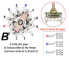 T9-11Z​ Selector Audio hifi