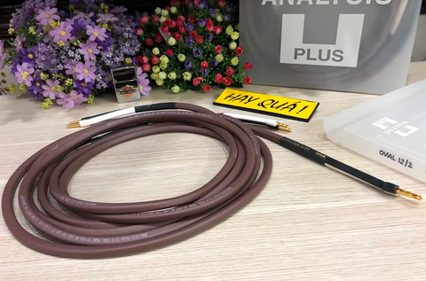  T2-19F​ Dây loa Analysis Chocolate Oval 12/2 