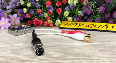  T6-20G​ Adapter Cable - Kết nối trung gian Jack DIN 5 chân to RCA 