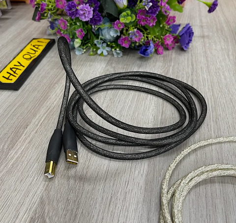  T11-10H​ Dây USB Audiophile đồng OFC mạ Bạc - Dây USB A & B 