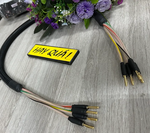  T8-06K Bộ dây Monster 2.4S - Dùng với hộp chuyển loa âm ly 