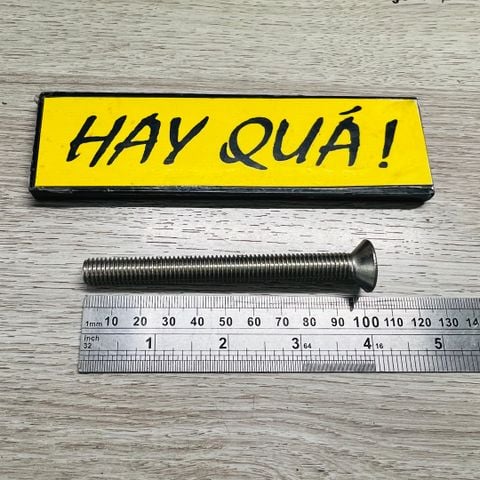  T14-21F Bulong lục giác chìm rất hiếm INOX 304 M10 x 10cm 
