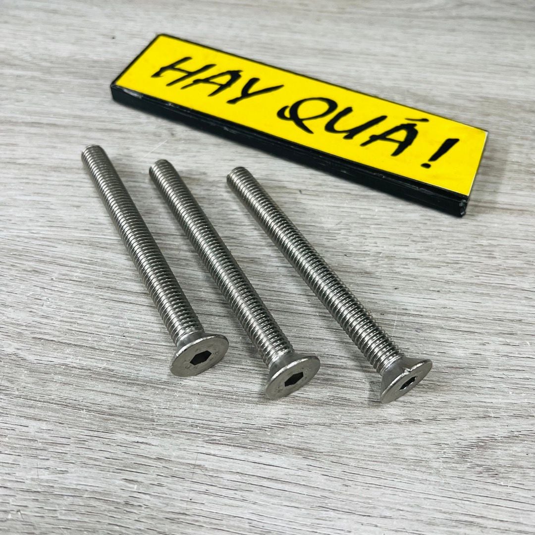 T14-21F Bulong lục giác chìm rất hiếm INOX 304 M10 x 10cm