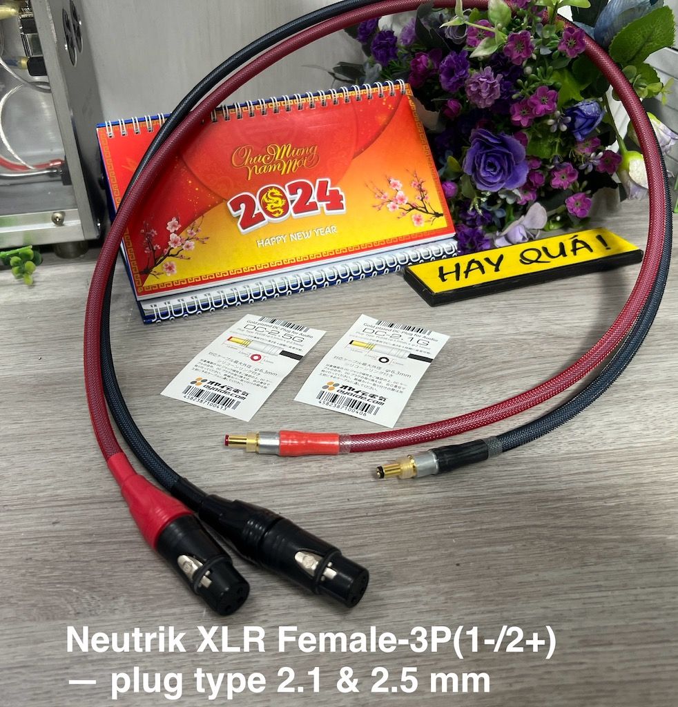 T12-19B Dây nguồn DC cho thiết bị nhạc số - XLR > 2.2mm & 2.5mm plug