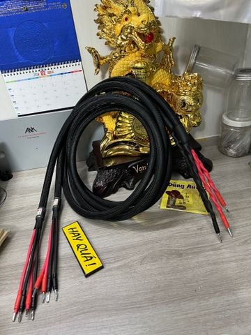  T12-06B Dây loa cân bằng Monster 2.4S Bi-Wire 