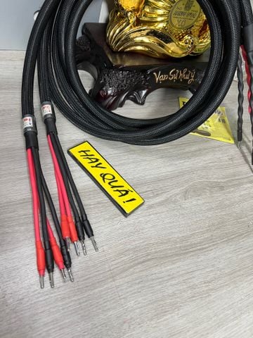  T12-06B Dây loa cân bằng Monster 2.4S Bi-Wire 