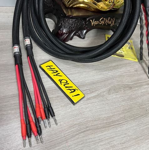  T12-06B Dây loa cân bằng Monster 2.4S Bi-Wire 