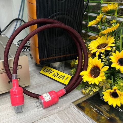  T12-14E Dây nguồn Audiophile Hi Output 