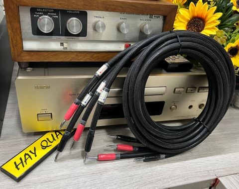  T12-01A​ Dây loa đồng Litz Geospace - 99.9% pure cooper Litz Speaker Cable 