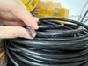 T10-16D​ Dây nguồn 3 lõi Nhật -  2.5mm2