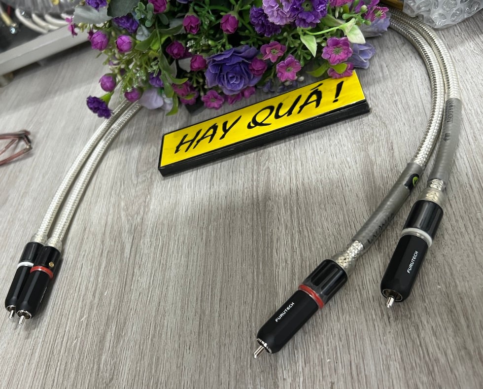 T1-10D Jack RCA Furutech FP-120(R) – Dũng Audio - Shop Audiophile