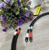 T11-01A​ Dây tín hiệu Ver IV lõi bạc nguyên chất 99.999% Ag - Ag Balanced Cables