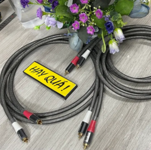 T11-01A​ Dây tín hiệu Ver IV lõi bạc nguyên chất 99.999% Ag - Ag Balanced Cables