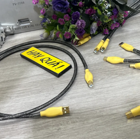  T11-10G​ Dây USB Audiophile đồng OFC mạ Bạc - Dây USB A & B 