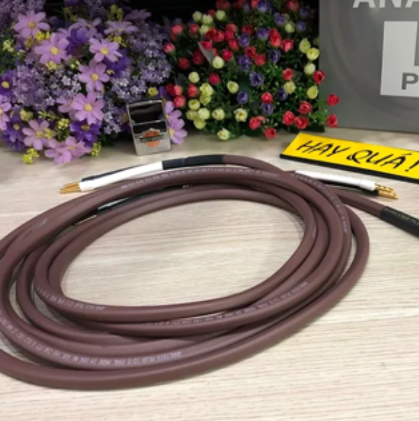 T2-19F​ Dây loa Analysis Chocolate Oval 12/2