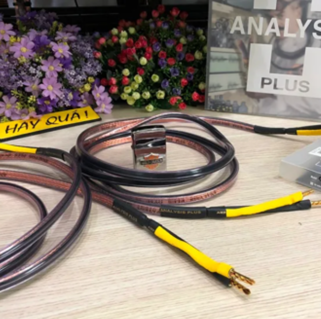 T2-19H​ Dây loa Analysis Oval 12