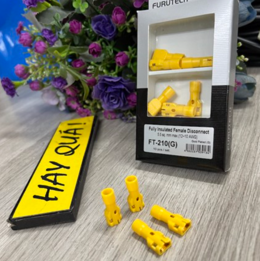 T1-13G Jack ghim 6.3mm Furutech FT-210 (G)