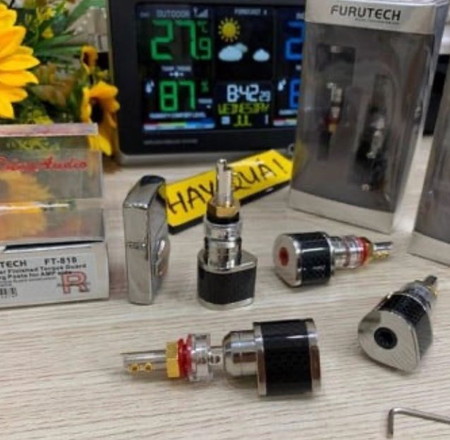 T1- 11M Cọc loa Furutech FT-818 (R) Hi-end