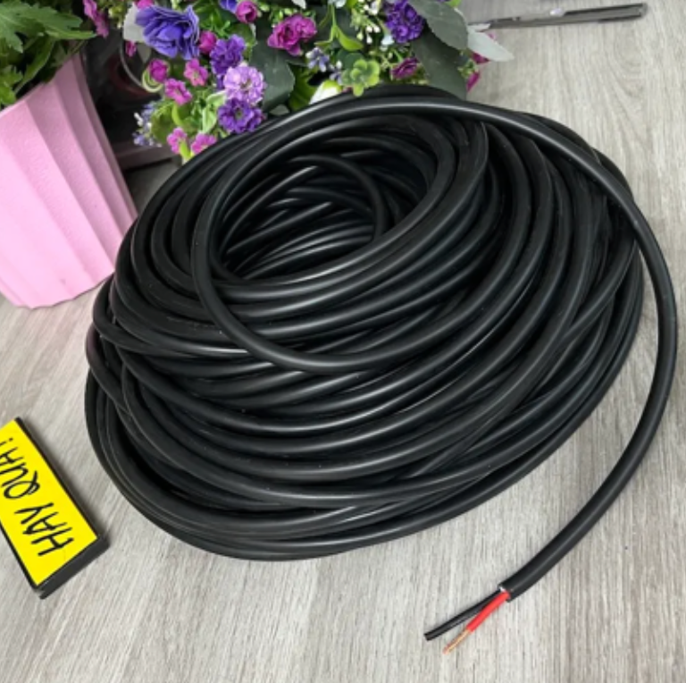 T10-12B​ Dây loa Nhật 2.5mm2