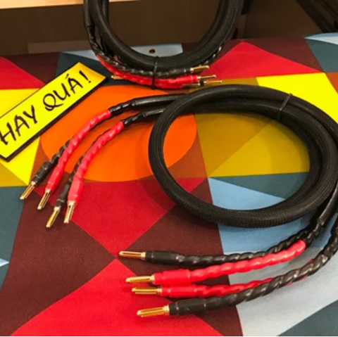  T8-06H Dây loa công suất - Bộ dây chủ lực cùng hộp chuyển loa, âmly 