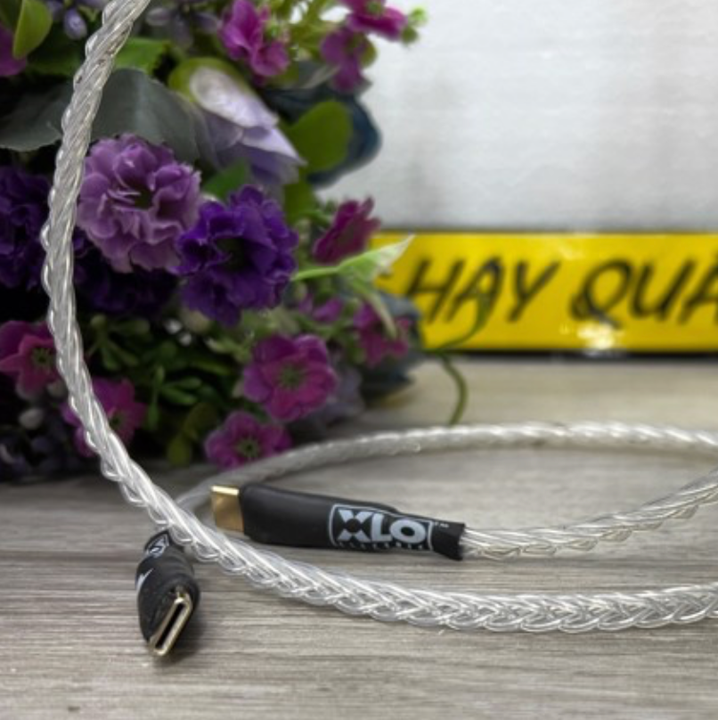 T11-10M (Hết hàng) Dây USB Type C to Type C - Dây USB tiêu chuẩn truyền dẫn dữ liệu