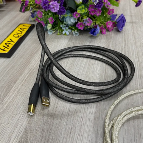  T11-10H​ Dây USB Audiophile đồng OFC mạ Bạc - Dây USB A & B 